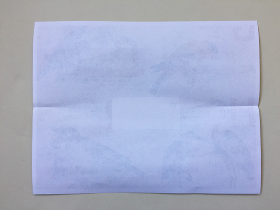 horizontal paper with two small creases on the right and left edges