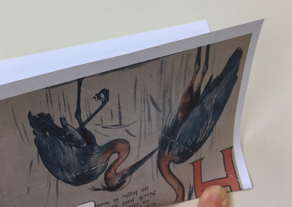 finger creasing paper